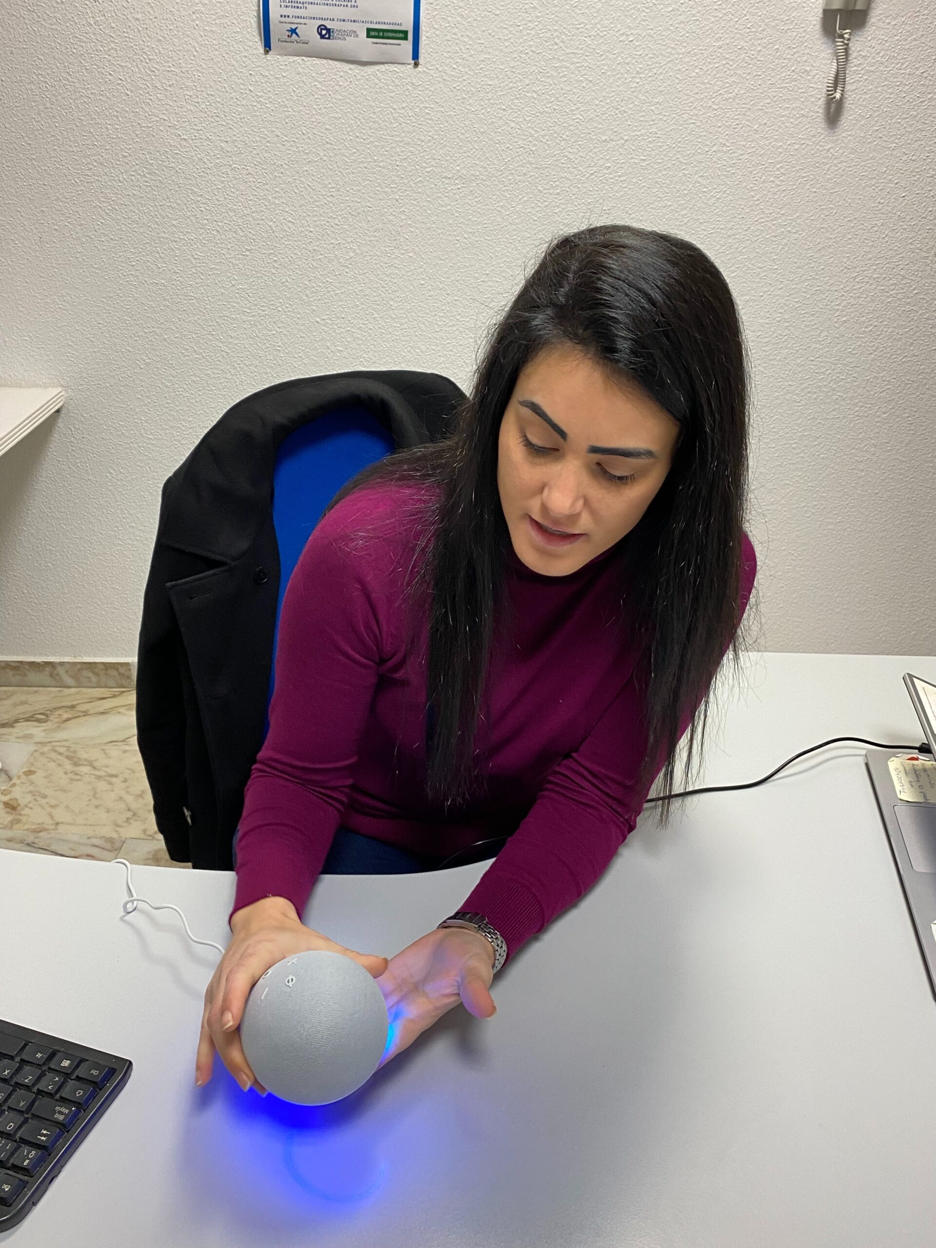 Línea 2 Proyecto Digisem