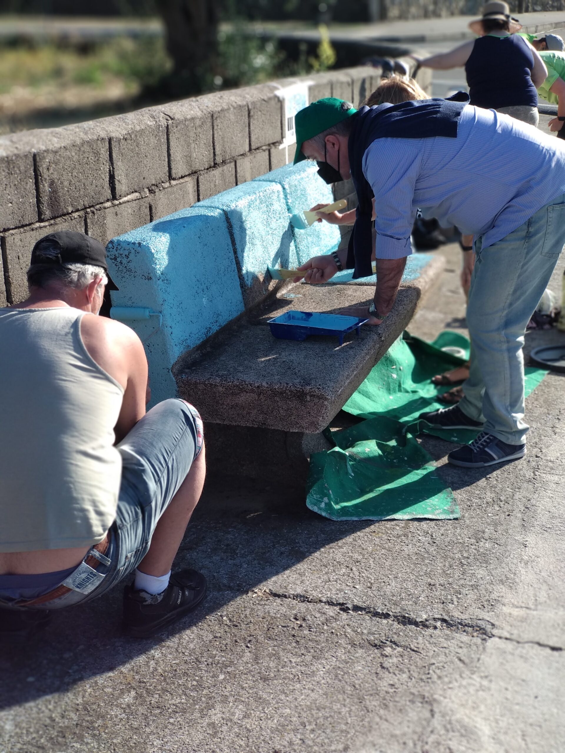 Galería de imágenes