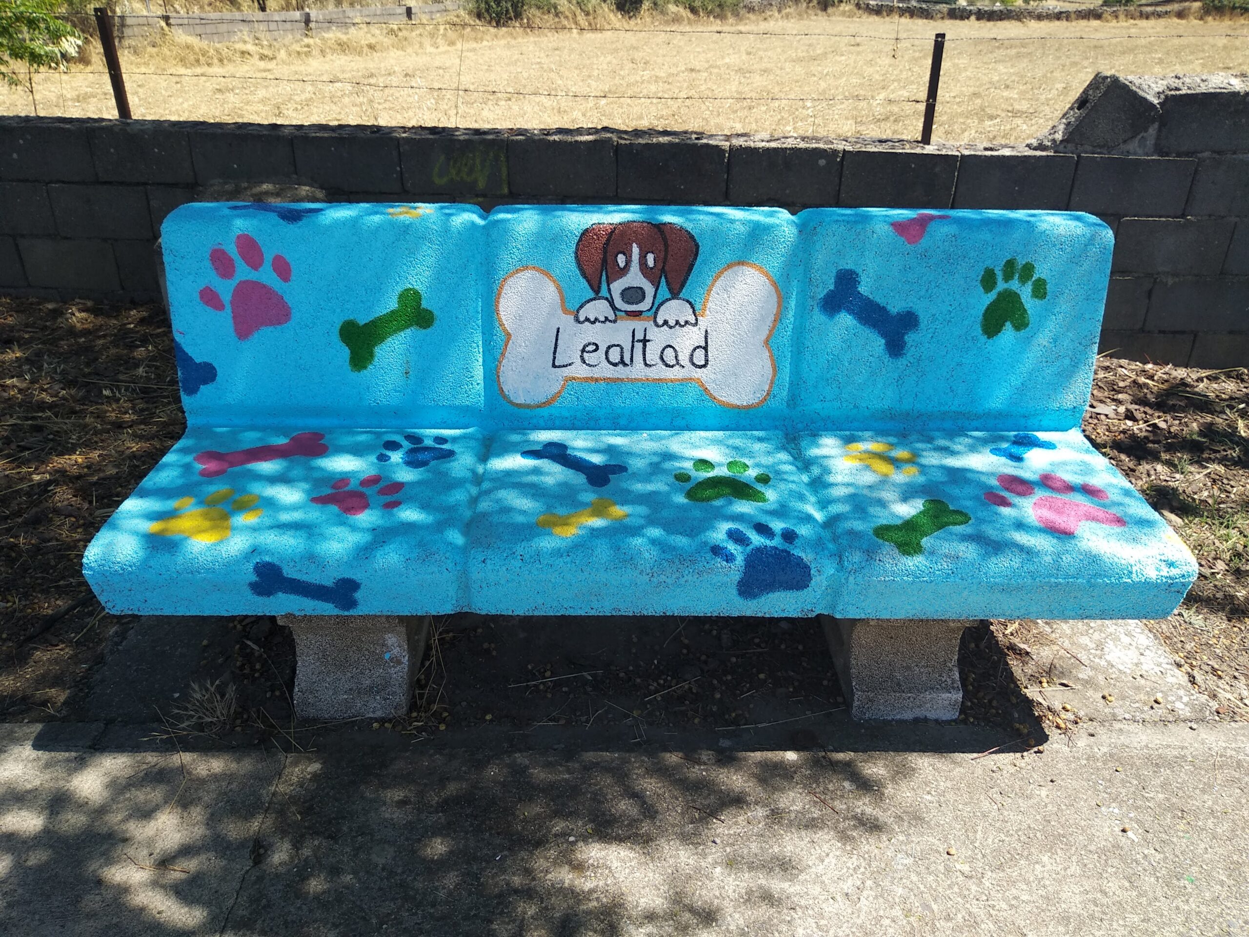 Galería de imágenes