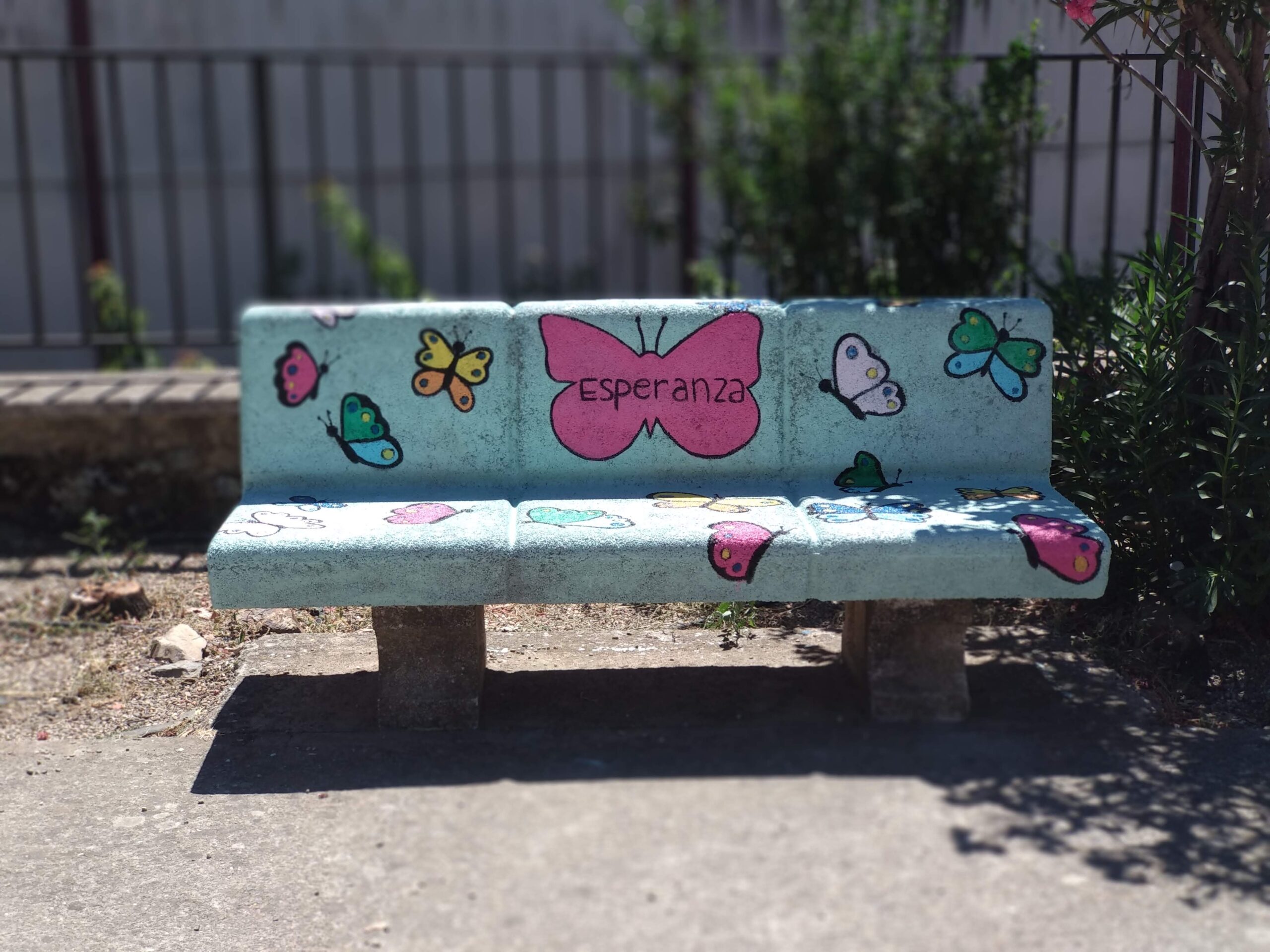 Galería de imágenes